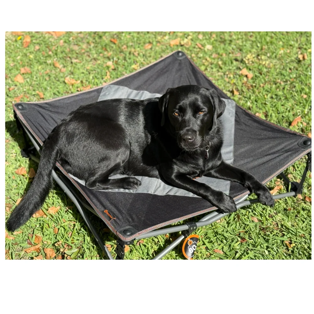 DELUXE XL PET CAMP BED 80KG RATING - Image 4