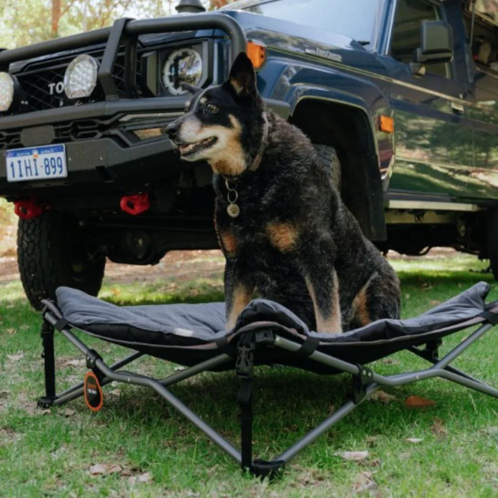 WILDTRAK FOLDING DELUXE PET BED WITH CARRY BAG - Image 3